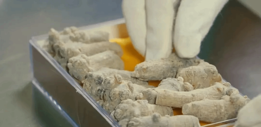 bte·365(中国)唯一官方网站