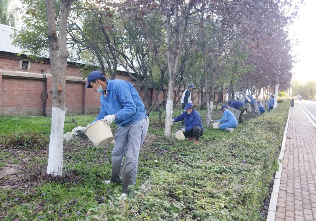 bte·365(中国)唯一官方网站