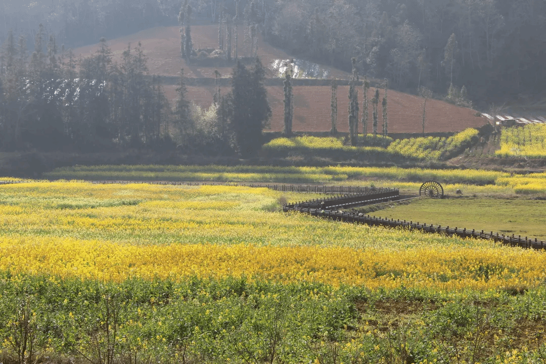 bte·365(中国)唯一官方网站